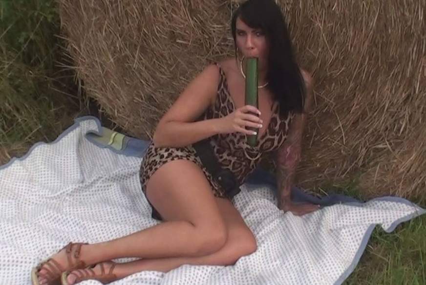 Outdoor Gurkenf**k von Busen-Maus