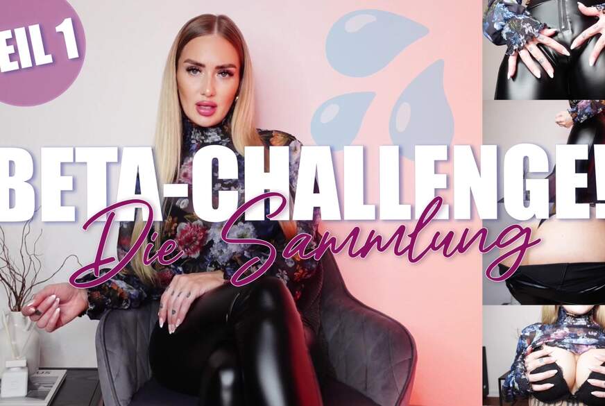 BETA CHALLENGE - Die Sammlung! Teil 1 von KiraGold