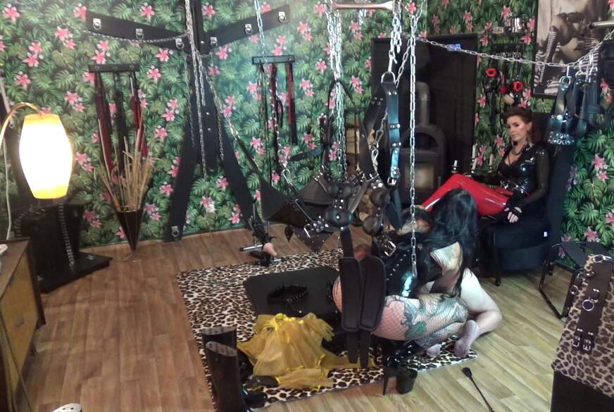 Das Disziplinarverfahren 1 von LadyVampira pic1