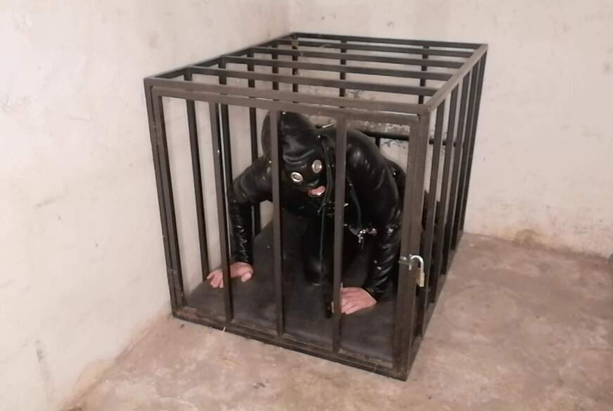 Doppelte Gefangenschaft 1 von LadyVampira pic4