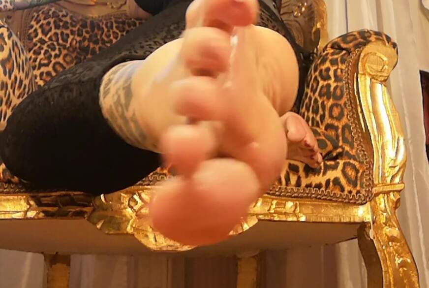 Focus On Feet - Footfetish Custom Clip von LadyVampira pic1