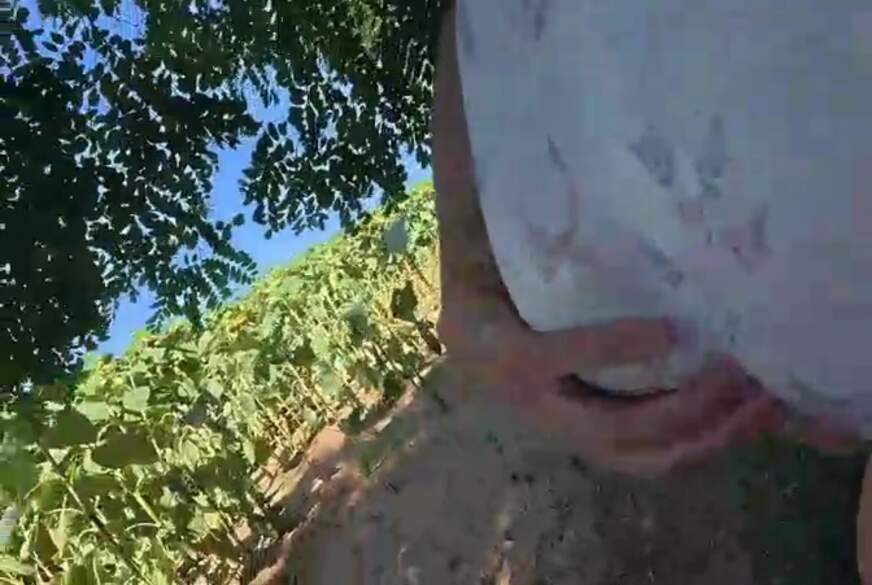 Transb**y18: Vermisse den Sommer