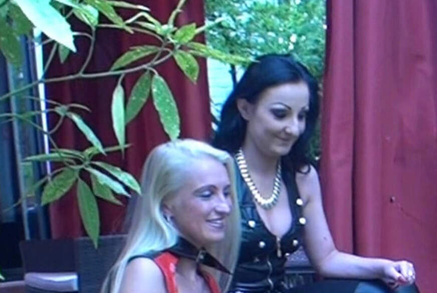 A*******k Ralley - XL doppel A**l Fi von TransJenny