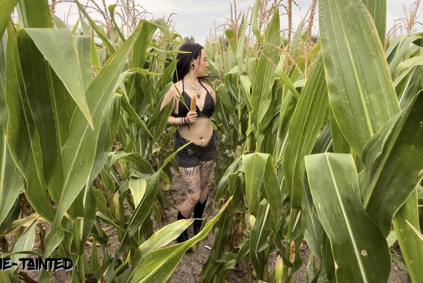 Trixie-Tainted: Maisk****n F**k ganz nah  Geile Ernte im versteckten Feld