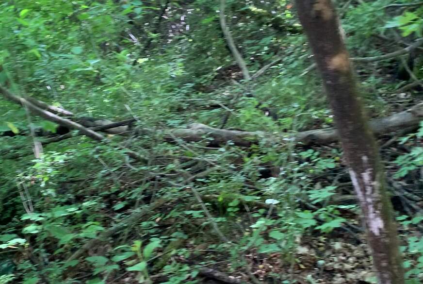 Sklave im Wald g*******t von LadyDia*a1