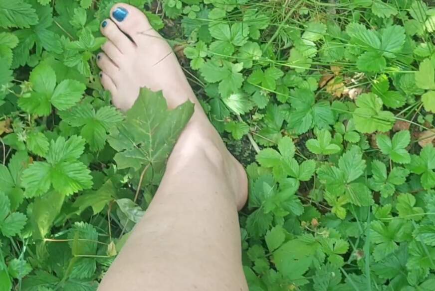 Avi-Monta*a: Barfuss durchs Gras