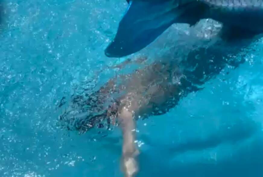 Avi-Monta*a: Untergetaucht