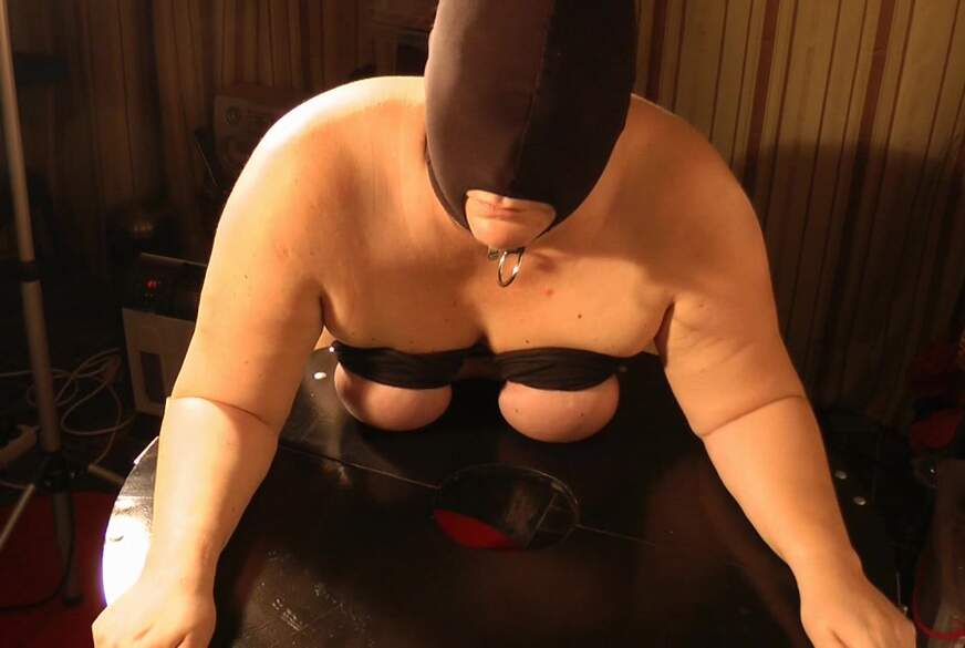 Mitten auf den Tisch von Annadevot