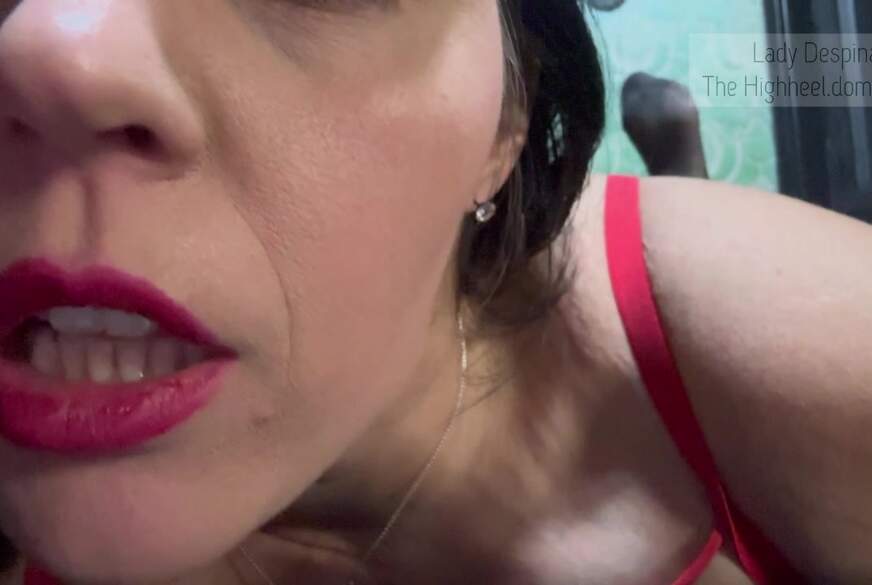 DuWirstWichssklave.mp4 von LadyDespina pic3