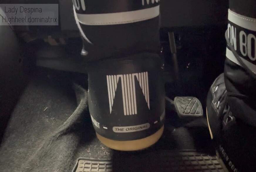 LadyDespina: Pedal Pumping MoonBoots