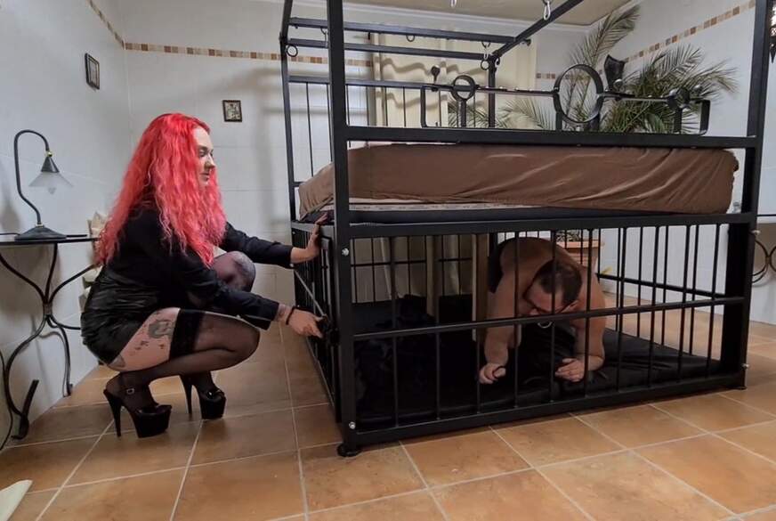 Mein p**********r AO-f**k vor C*****dLOSER! Schau zu VERSAGER! SO wird richtig g*****t! von ValeryVenom pic3