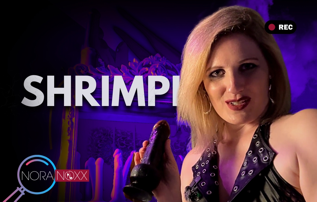 Dein Schwänzchen ist einfach zu klein. Es macht keinen Sinn, dass du versuchst damit eine Frau zu befriedigen.  Ich zeig dir mal im Vergleich ein paar echte Schwänze, die so viel besser sind als dein kleines Ding, ich nenne es einfach mal einen Mini-Shrimp. Denn genauso klein und albern sieht er aus…