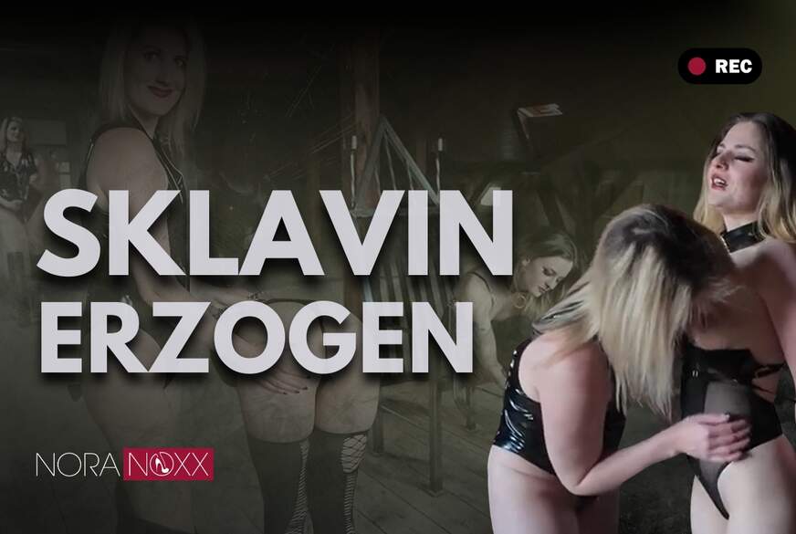 Sklavin wird b*****t von NoraNoxx