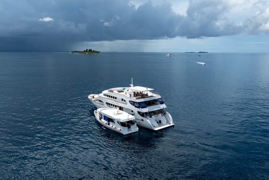 test-paar42: Testvideo