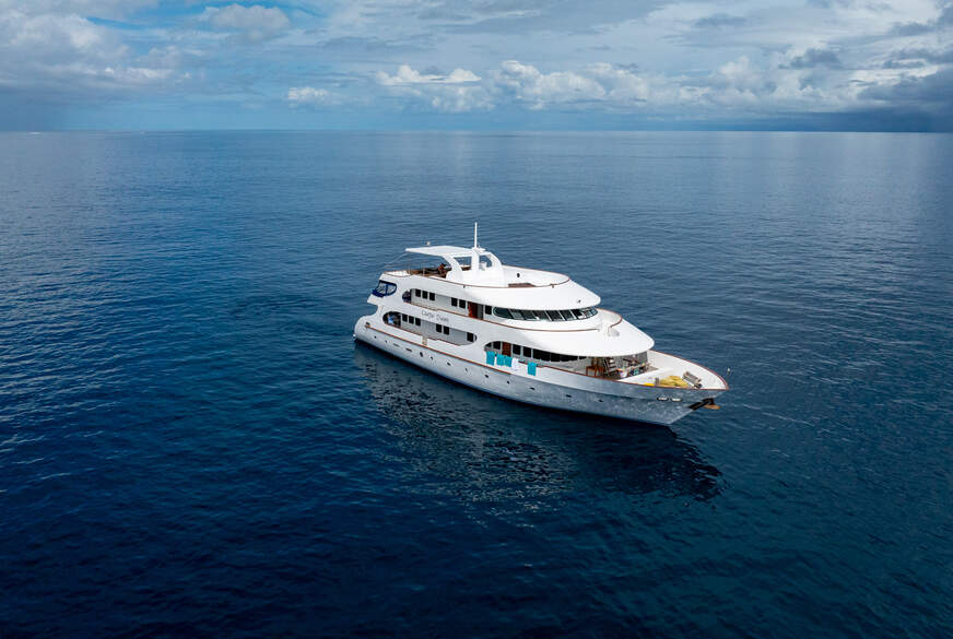 Testvideo2 von test-paar42 pic4