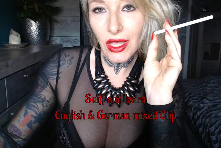 Sniff and learn german! english and german mixed Clip von LadyDemona