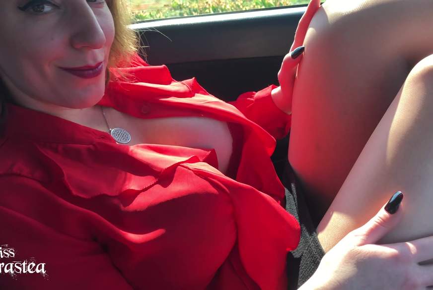 Chauffeur im S*****zkäfig! von MissAdrastea pic3