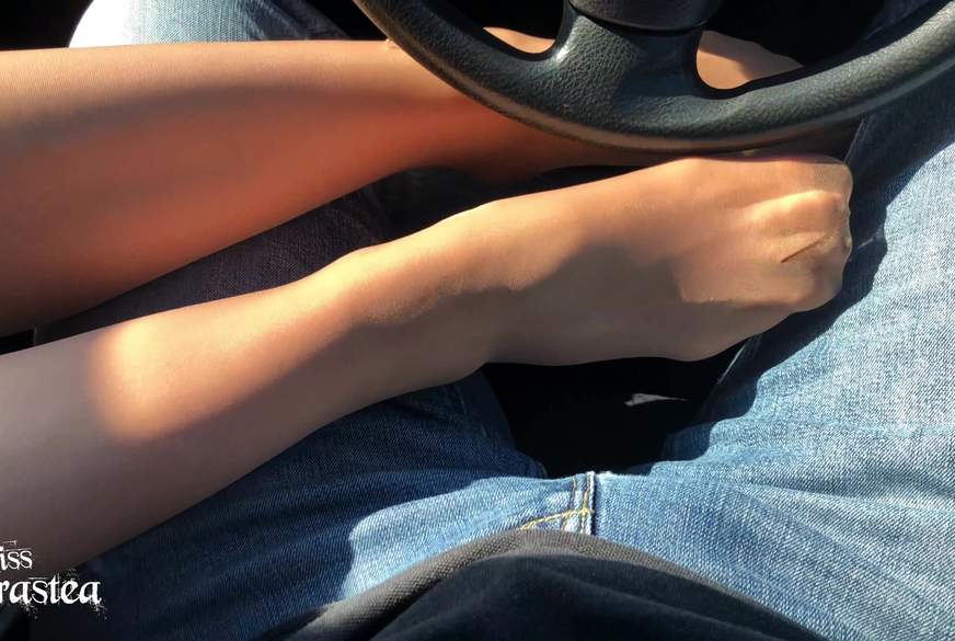 Chauffeur im S*****zkäfig! von MissAdrastea pic4