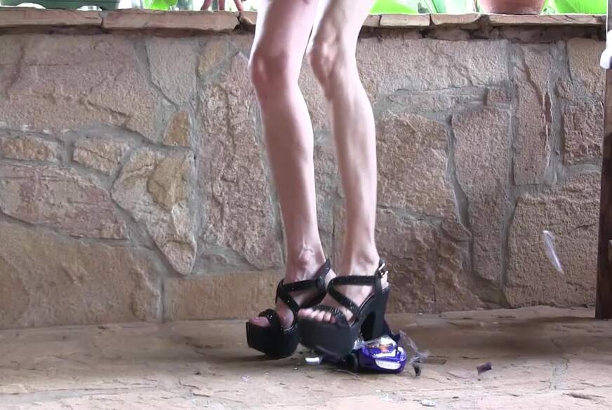 Ich zerstöre dein Leben von HerrinEnja pic4