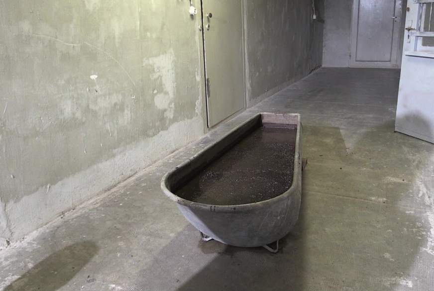 Kleine D******u von lolicoon