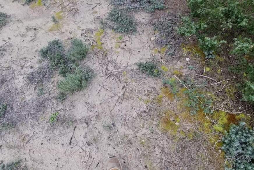 Lisa-s**k: Megakranker B**splace hinterm Strand g*****t und vollg*********t