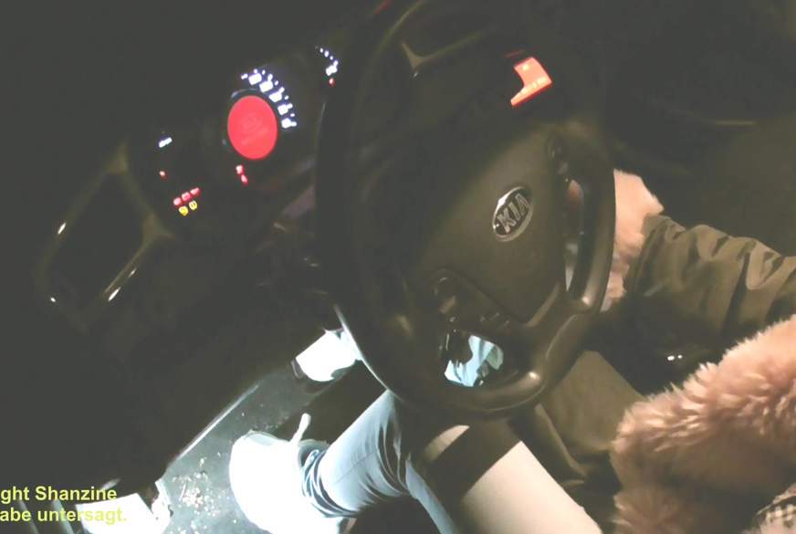 Auto verreckt dem Retter angemessen gedankt von Shanzine pic3