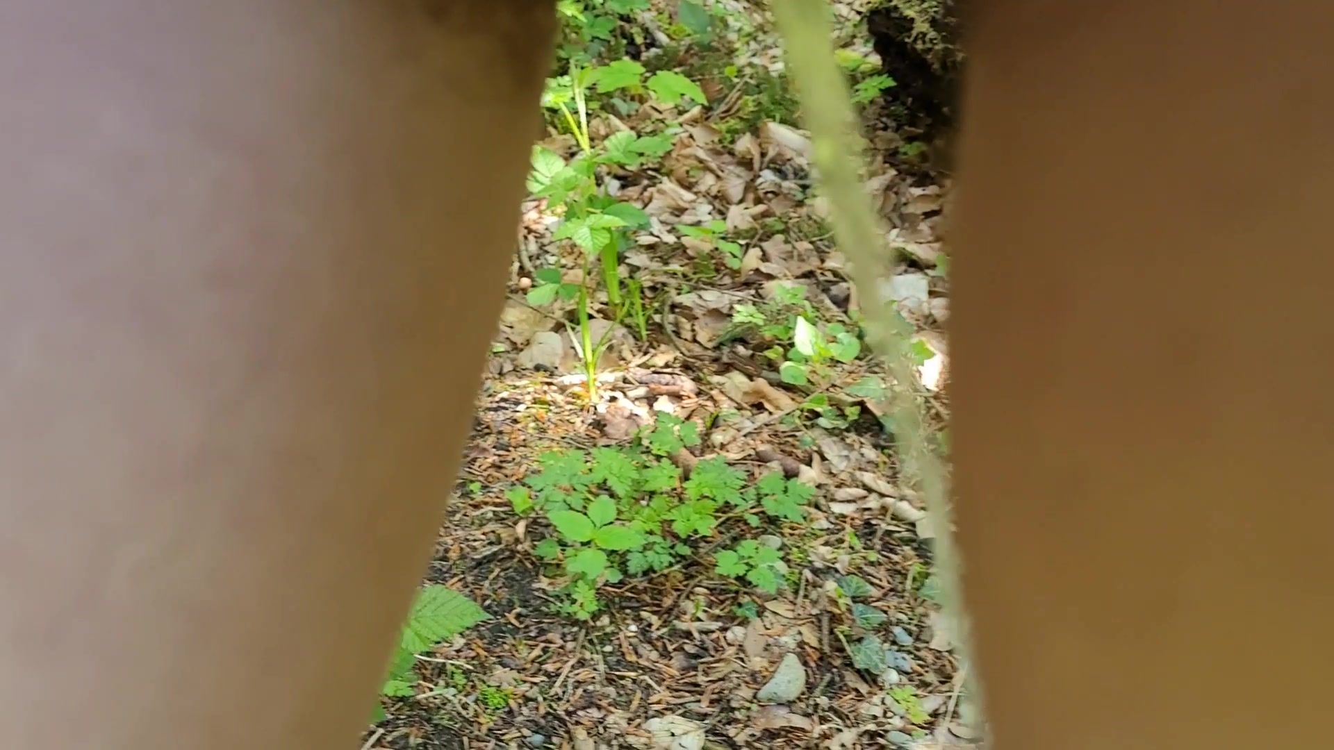 Auf Waldweg gepinkelt 2 2023 Schatz, was zusammengehört, sollte man zusammenführen! Daher habe ich meinen NATURsekt in der NATUR freien Lauf gelassen.