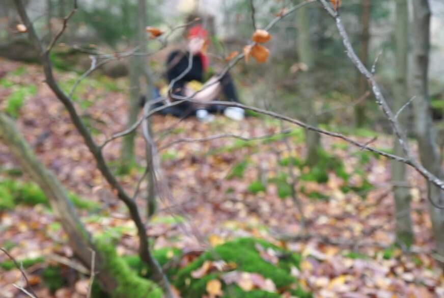 ERWISCHT! Beim f*****n im Wald beobachtet worden! von Micky-Bottenberg