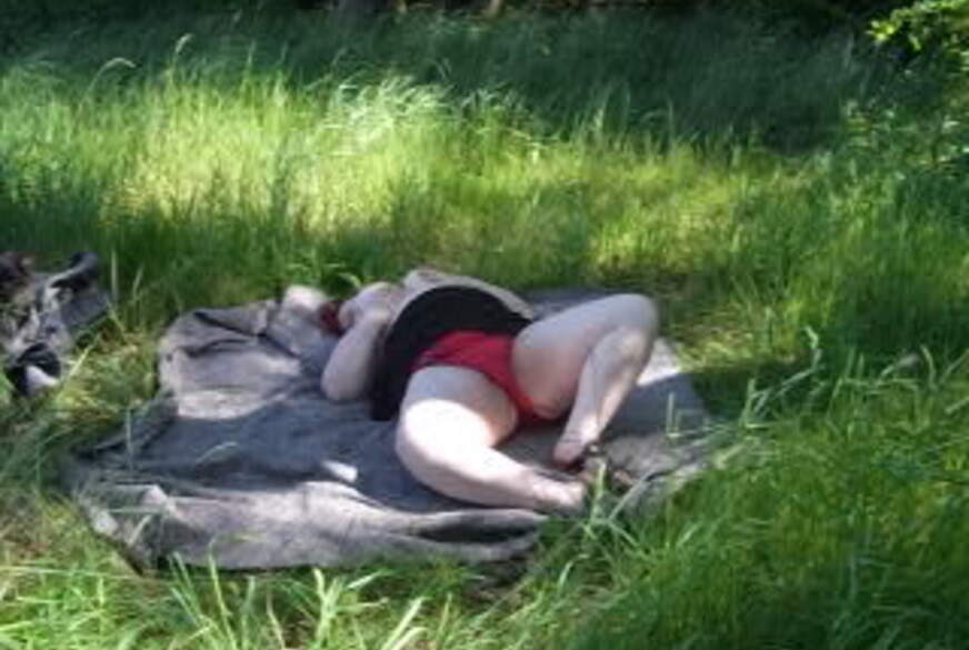 tammara28: Erwischt worden auf der Wiese