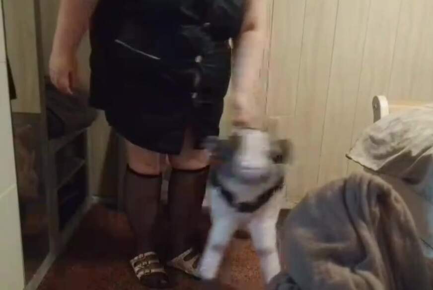 Heute reite ich eine Kuh von tammara28