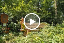 Er fragt nach dem Weg ich zeig ihm meine Fotze Milfs Tattoos Piercings Schwarzhaarig Frau-Mann Große Brüste Silikon Handjob AO Fremder Blowjob Cumshot Nahaufnahme POV Doggystyle Outdoor 
