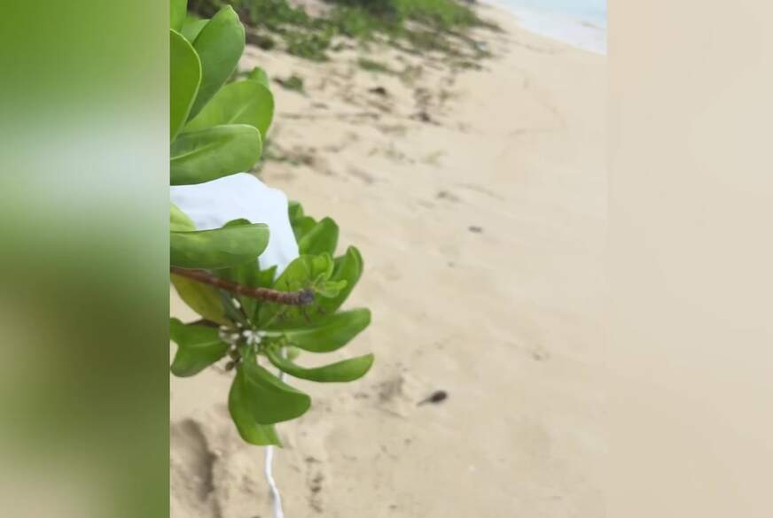 S****tmilfxxx: am Strand auf Mauritius