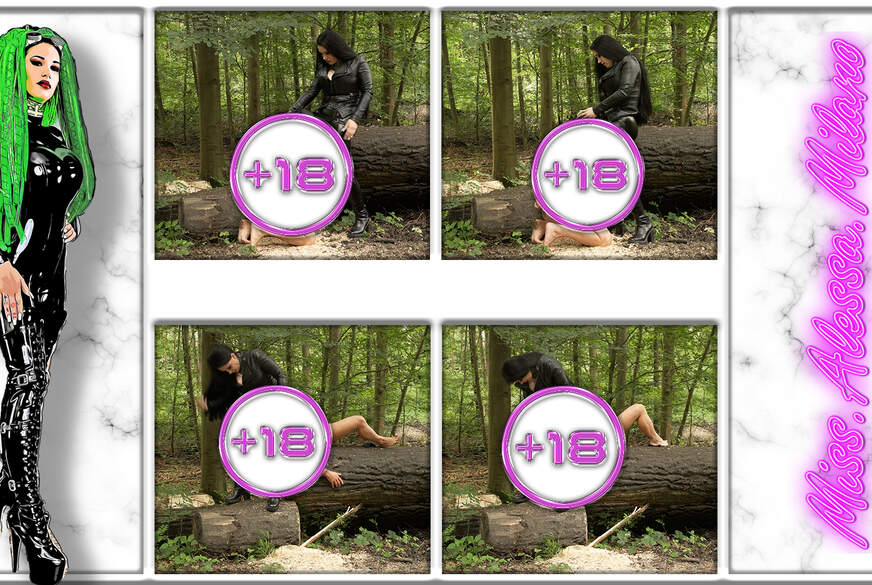 B**wjob im Wald von MissAlessaMilano