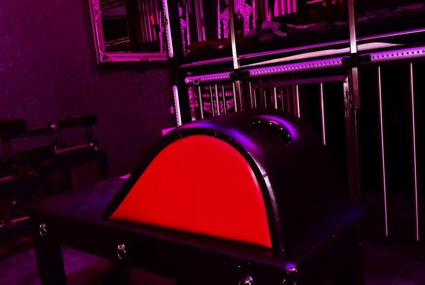 MissAlessaMilano: 19. Adventskalender 2025 D***y in Sexmöbel