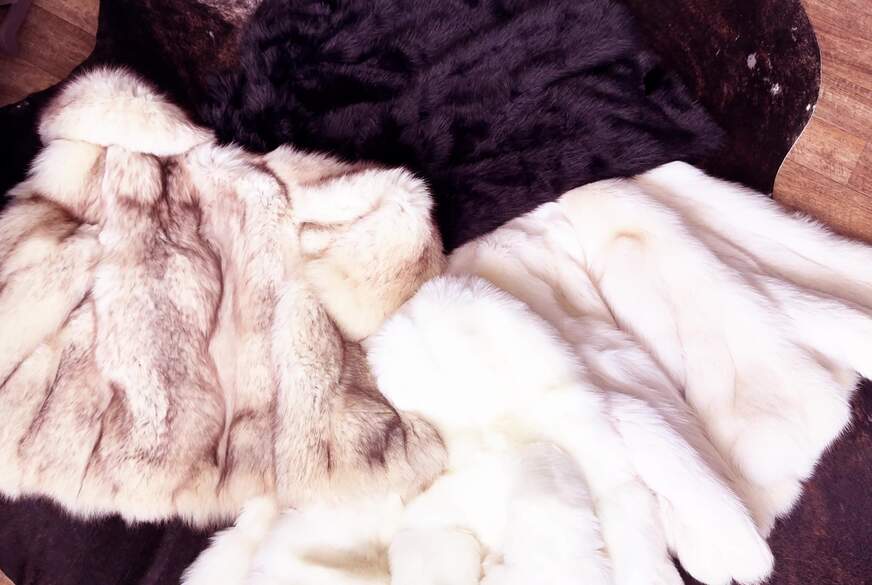 Fetisch nach Pelz von MissAlessaMilano