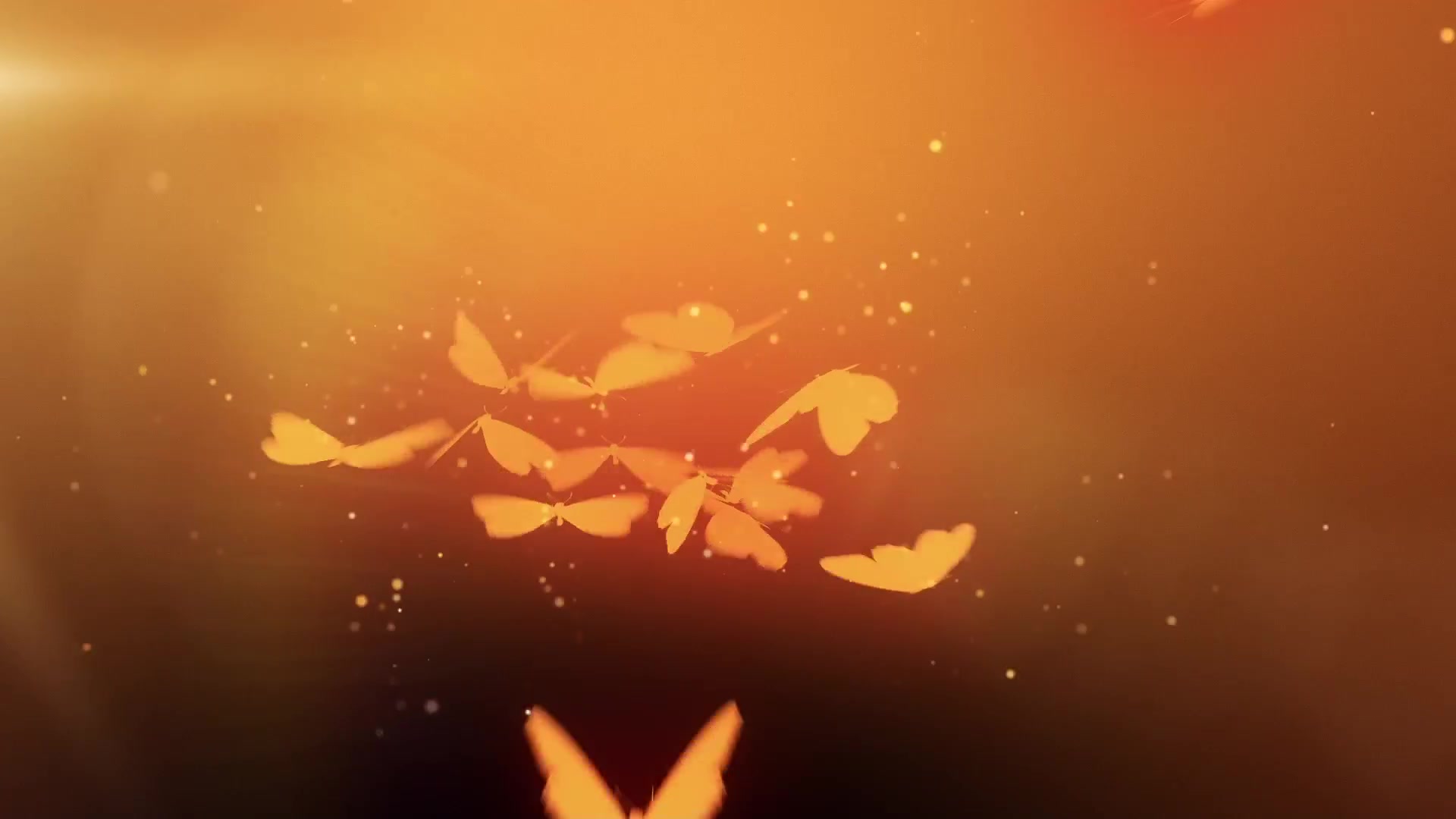 So etwas habe ich ja noch nie gemacht! Da möchte der Typ mir doch wirklich einen Ball in den Mund stopfen und mich gefesselt ficken! Eigentlich mag ich es immer die Kontrolle zu haben..Ob es mir trotzdem gefäll die Kotrolle auch mal komplett abzugeben? Was wird er wohl mit mir anstellen, wenn ich ihm komplett wehrlos ausgeliefert bin?