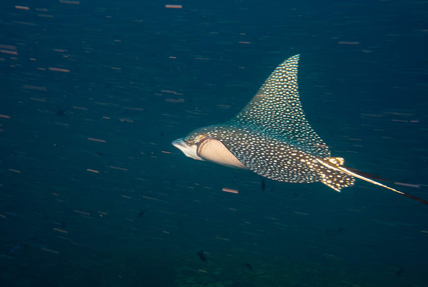 MauriceTestAM2: Tesdfökldshfgkjsdfhg