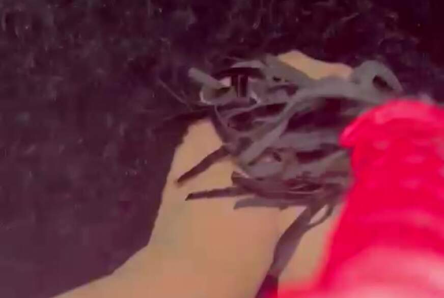 lisa29: meine sexy Füße