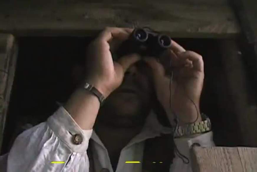 Meine  Freundin und ich wollten ja nur Pilze sammeln von Michelle-Diamond