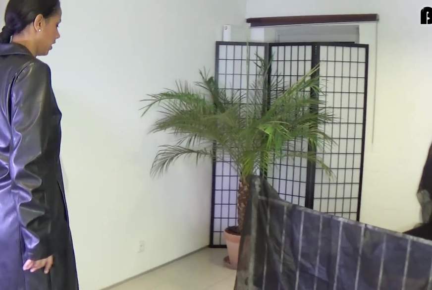 Na F**kfleisch, noch Lust ? Wie schauts aus von Alexandra-Pink