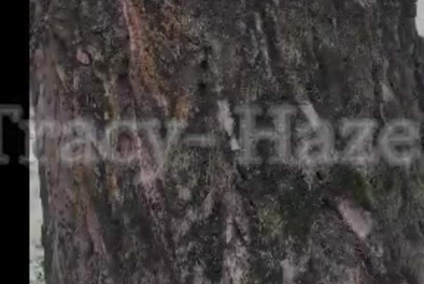 Waldp**s von TracyHaze pic2