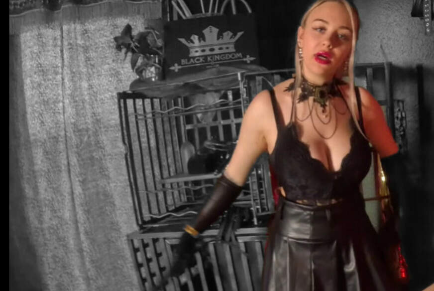 ENDSTATION jetzt muss dein F***enl**h leiden bis du zum Orgasmus kommst. von Queen_of_BDSM