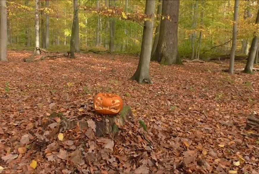 AnnyTasty: D***y P**s IN KÜRBIS