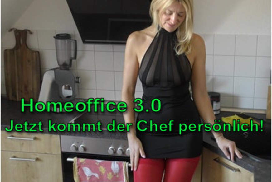 HomeOffice 3.0 - Heute KOMMT der Chef persönlich!Ohne Gummi! von LissLonglegs