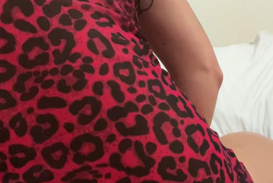 Roter Leo von Elisa90