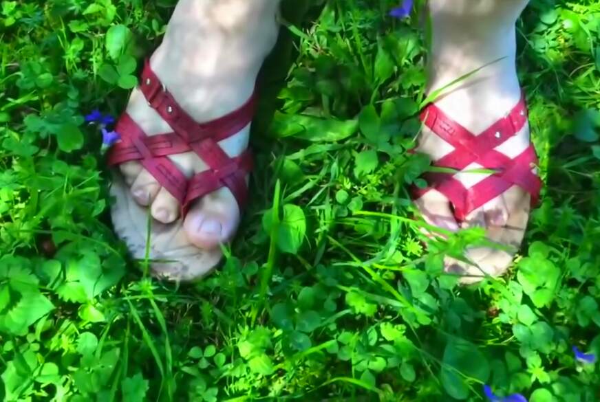 Milf Roxy Mit Sandalen Und Sexy Füßen In Der Natur von Roxy82