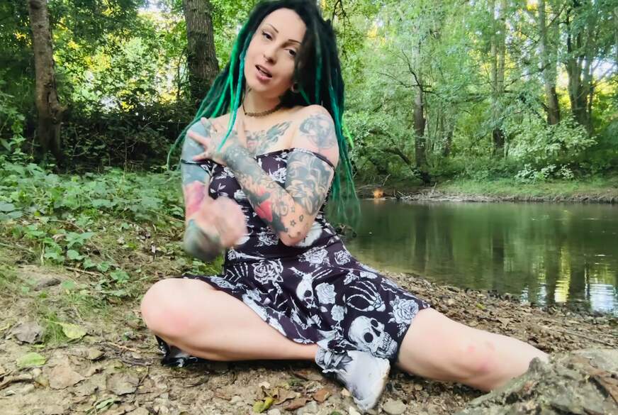 Katze spielen in forest von MartaKatze pic1