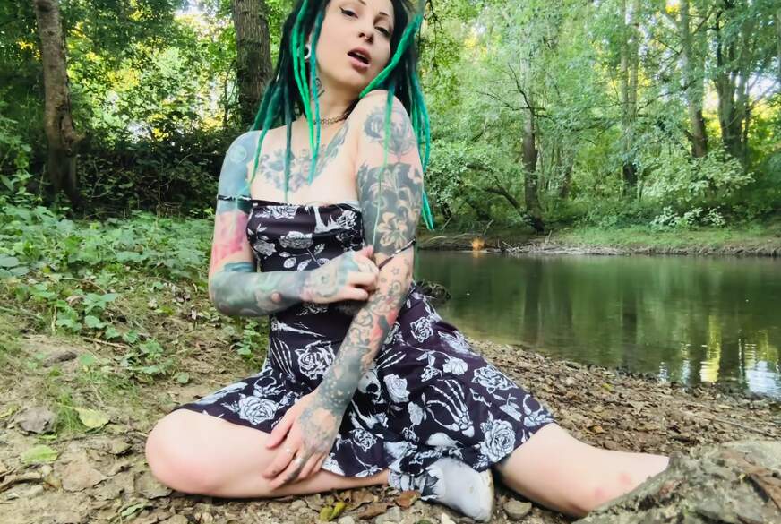 Katze spielen in forest von MartaKatze pic2