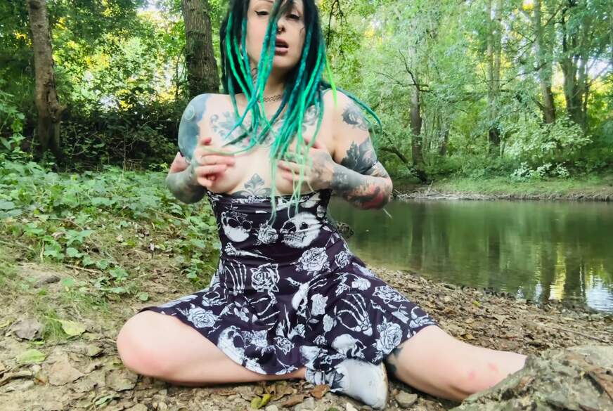 MartaKatze: Katze spielen in forest