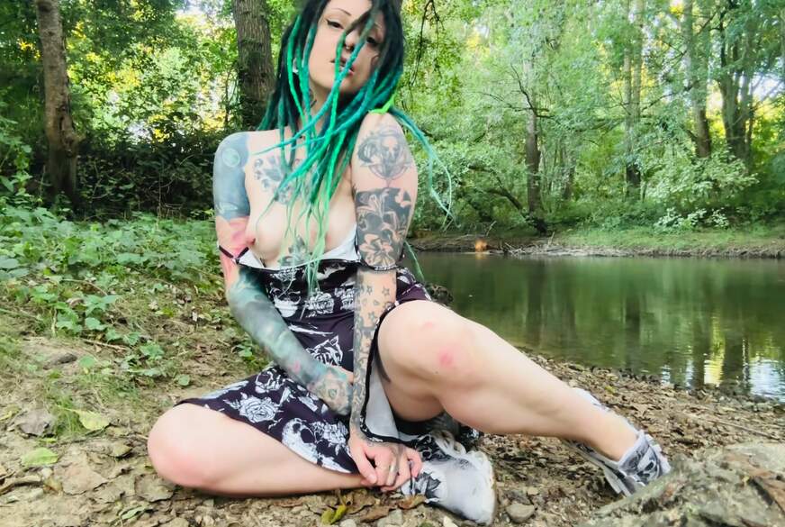 Katze spielen in forest von MartaKatze pic4